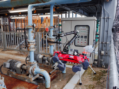 Plant Disaster Challenge